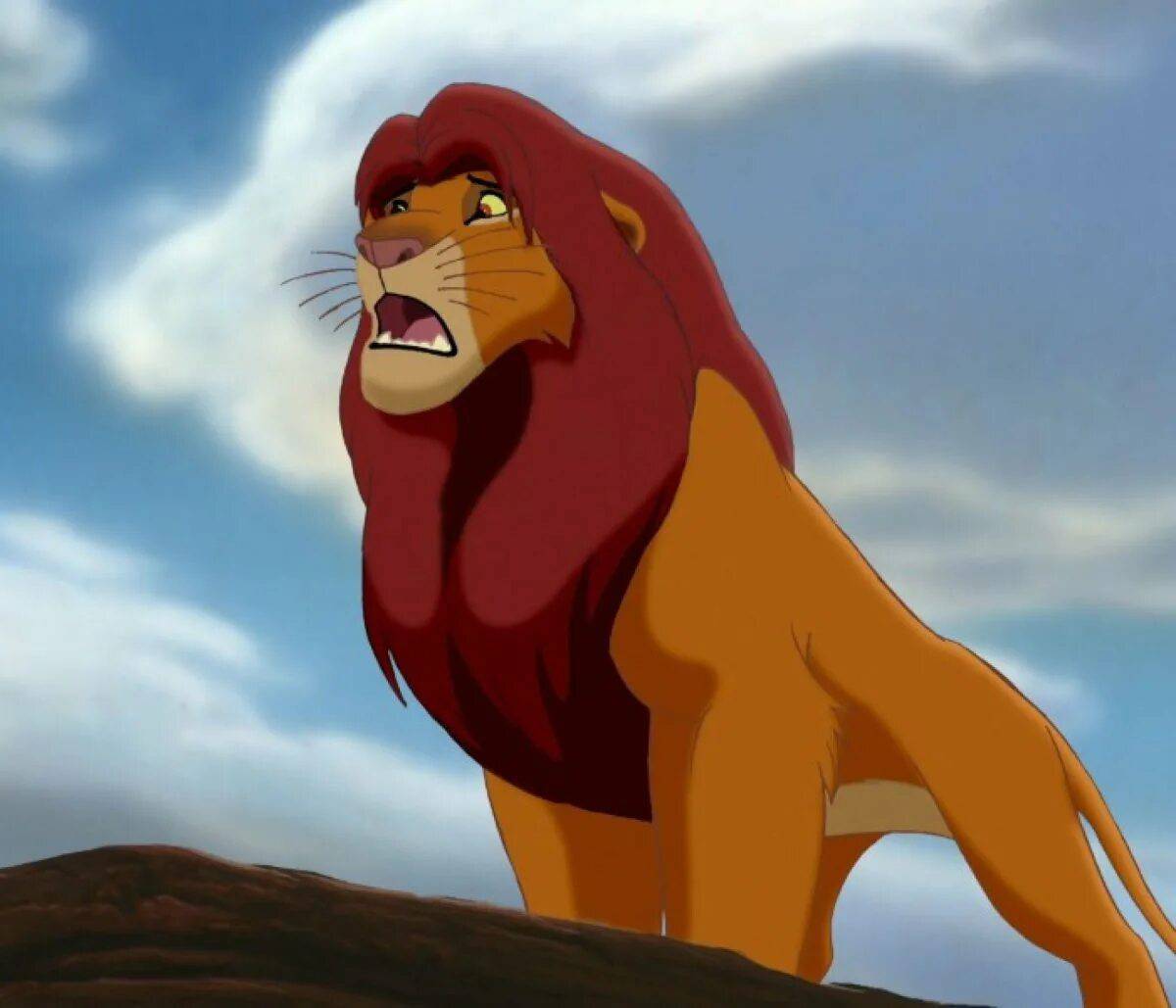 Симба король лев #19