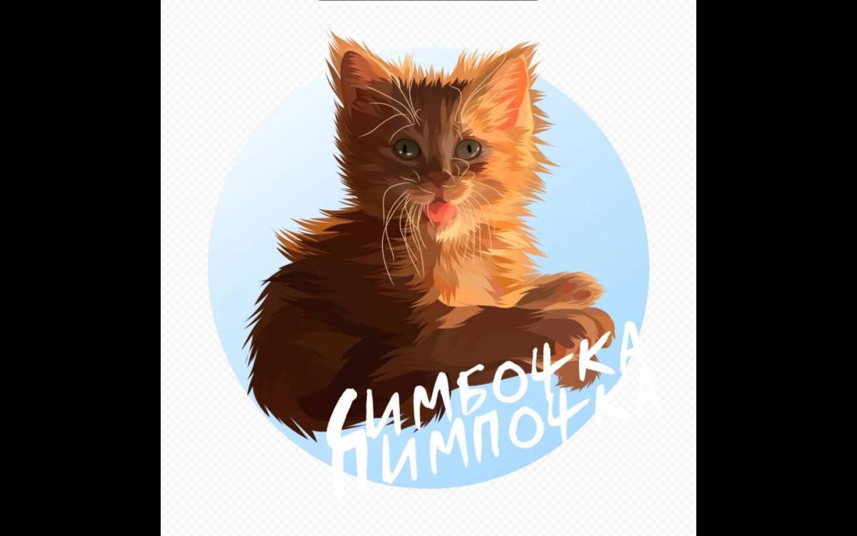 Симба кот #8