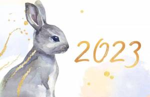 Раскраска символ года кролик #9 #492053