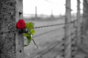 Раскраска символ холокоста цветок #27 #492109