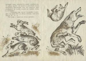 Раскраска сказка про храброго зайца длинные уши косые глаза короткий хвост #4 #494148