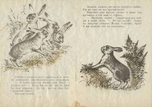 Раскраска сказка про храброго зайца длинные уши косые глаза короткий хвост #13 #494157