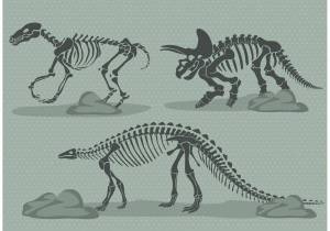 Раскраска скелет динозавра #1 #495779