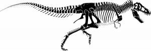 Раскраска скелет динозавра #15 #495793