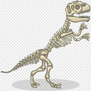 Раскраска скелет динозавра #25 #495803