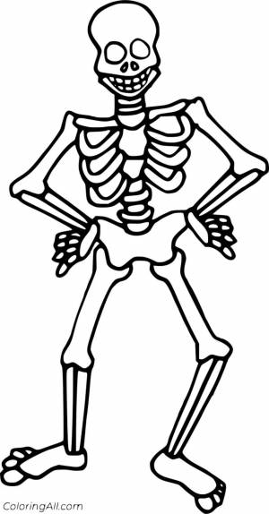 Раскраска скелет для детей #10 #495814