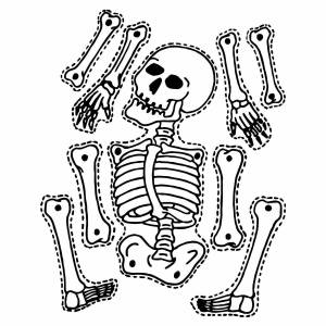 Раскраска скелет для детей #14 #495818