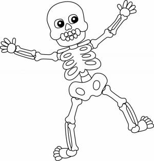 Раскраска скелет для детей #17 #495821