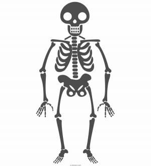 Раскраска скелет для детей #19 #495823