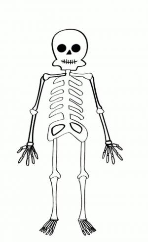 Раскраска скелет для детей #23 #495827