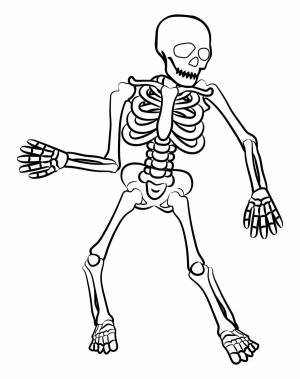 Раскраска скелет для детей #29 #495833