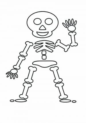 Раскраска скелет для детей #36 #495840