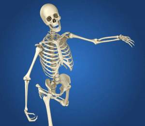 Раскраска скелет человека для детей #9 #495918