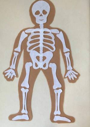Раскраска скелет человека для детей #10 #495919