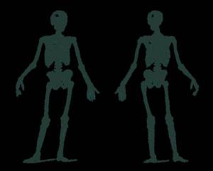 Раскраска скелет человека для детей #22 #495931