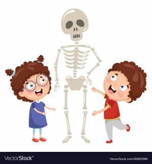 Раскраска скелет человека для детей #28 #495937