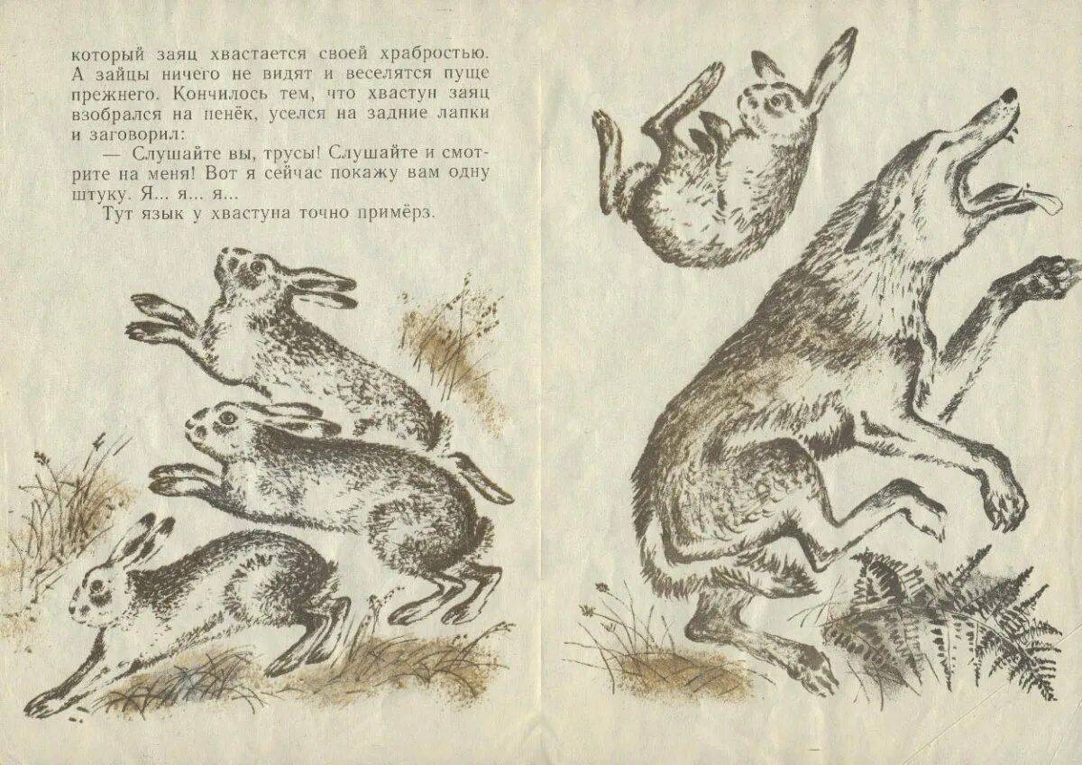 Сказка про храброго зайца длинные уши косые глаза короткий хвост #4