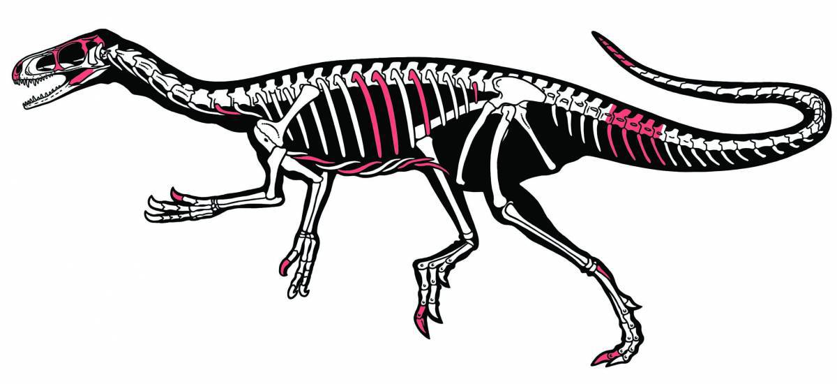 Скелет динозавра #13