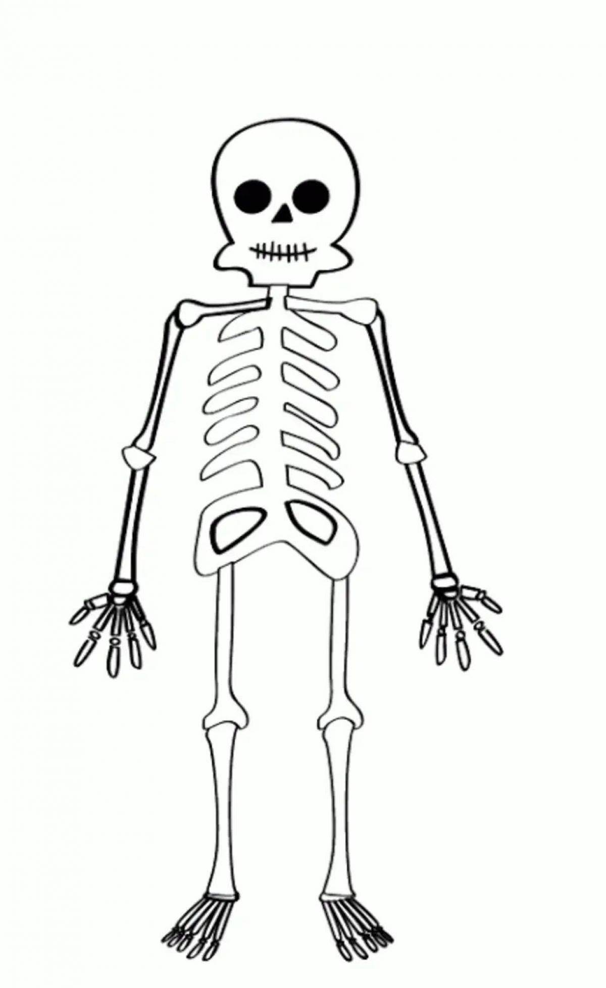 Скелет для детей #23