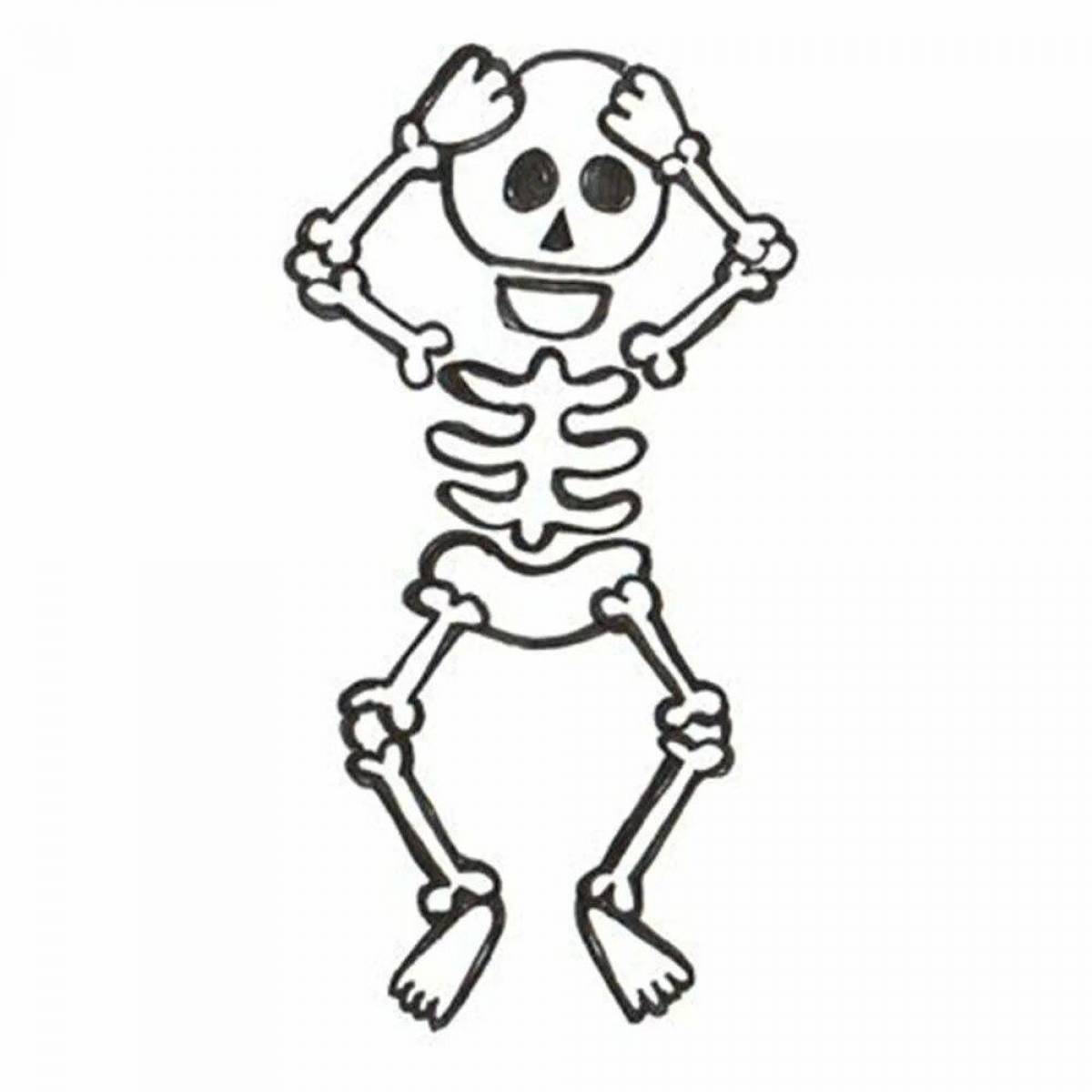 Скелет для детей #26