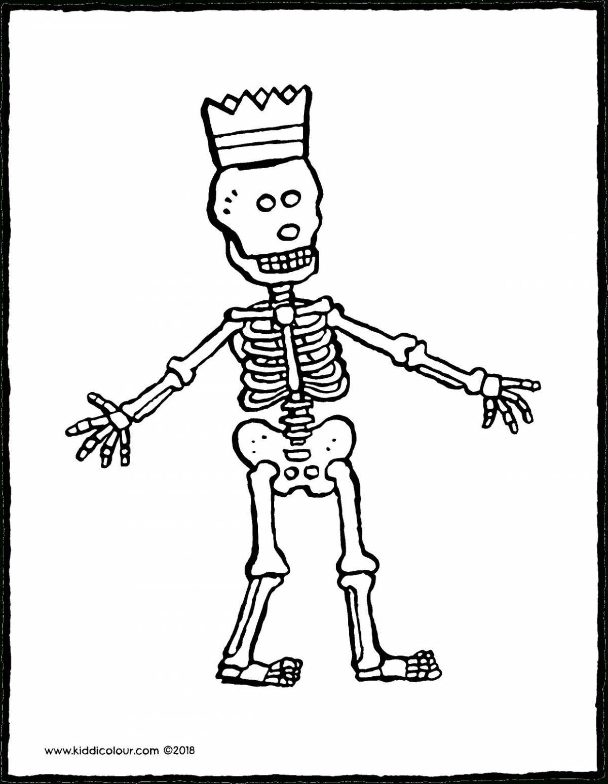 Скелет для детей #31