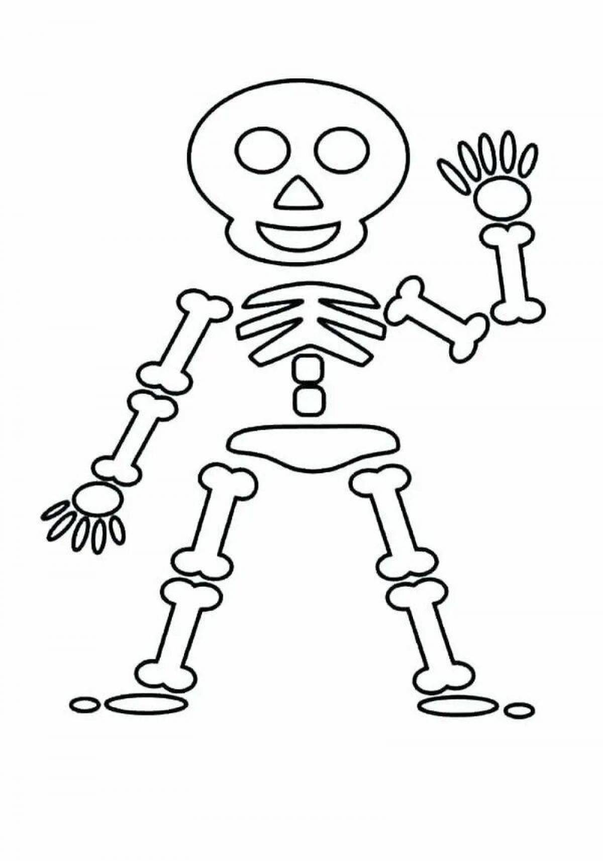 Скелет для детей #36