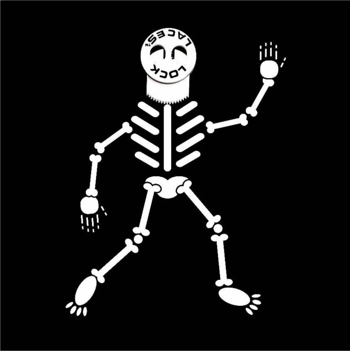 Скелет для детей #38