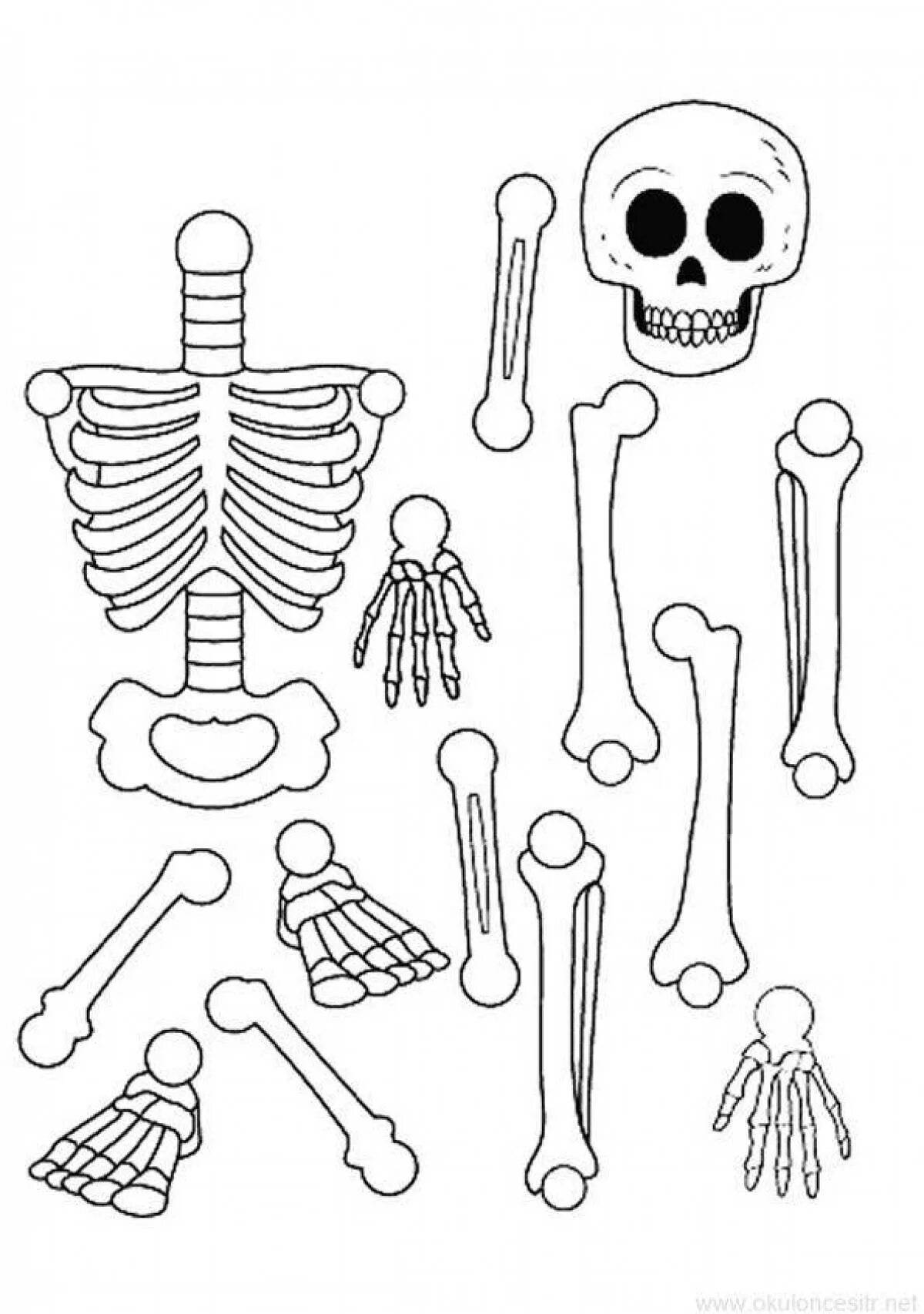 Человеческие кости скелета. Макет скелета. Скелет для распечатки. Макет скелета из бумаги. Скелет трафарет.