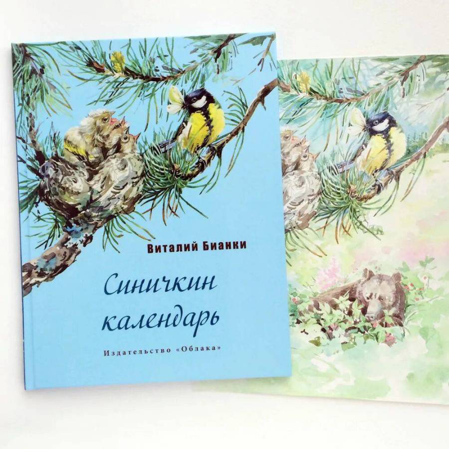 Календарь синичкина. Иллюстрации к книге Бианки Синичкин календарь. Виталий Бианки Синичкин календарь. Бианки в. 