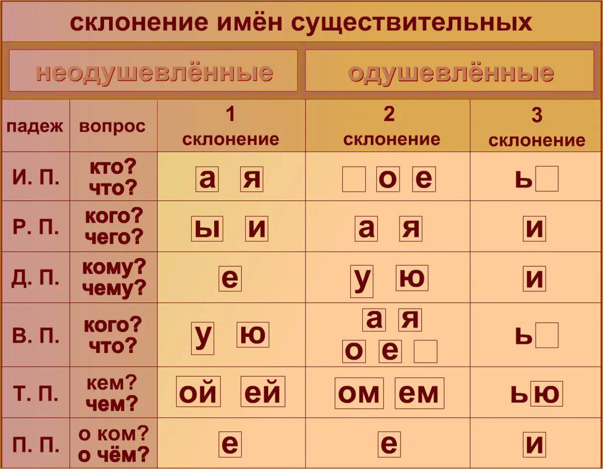 Существительное 2 склонение правило