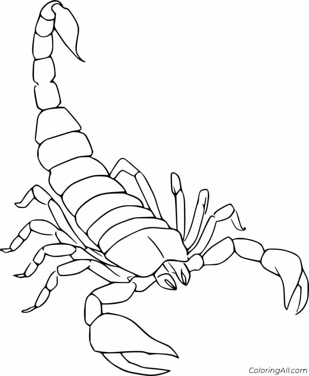 Картинка скорпион для раскраски