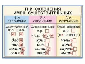 Раскраска склонение имен существительных 3 класс #28 #496111