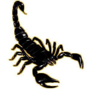 Раскраска скорпион для детей #3 #496484