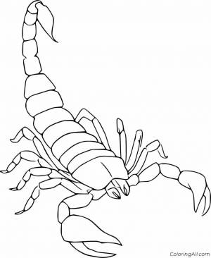 Раскраска скорпион для детей #8 #496489