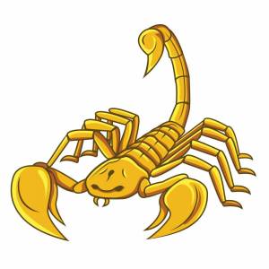 Раскраска скорпион для детей #17 #496498