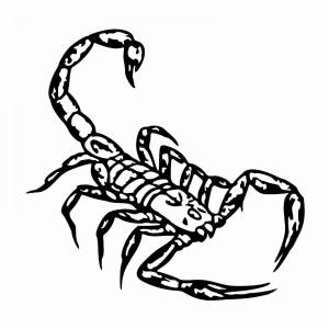 Раскраска скорпион для детей #20 #496501