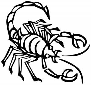 Раскраска скорпион для детей #21 #496502