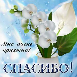 Раскраска слово спасибо #12 #497683