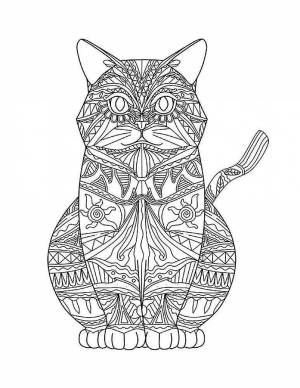 Раскраска сложная кот #15 #498035