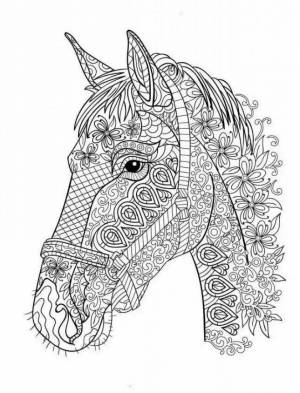Раскраска сложная лошадь #5 #498100
