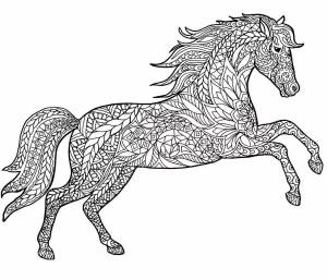 Раскраска сложная лошадь #6 #498101