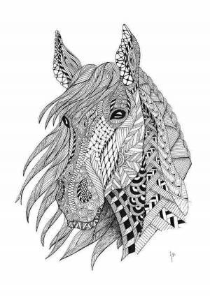 Раскраска сложная лошадь #12 #498107