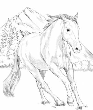 Раскраска сложная лошадь #19 #498114