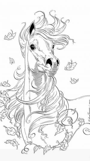 Раскраска сложная лошадь #21 #498116