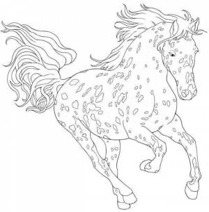 Раскраска сложная лошадь #25 #498120