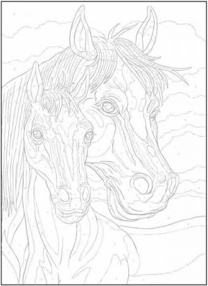 Раскраска сложная лошадь #26 #498121