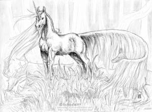 Раскраска сложная лошадь #30 #498125