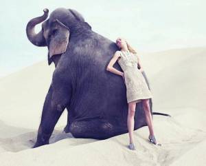 Раскраска слон и девочка #1 #498570