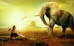 Раскраска слон и девочка #5 #498574