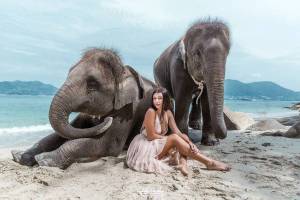 Раскраска слон и девочка #15 #498584